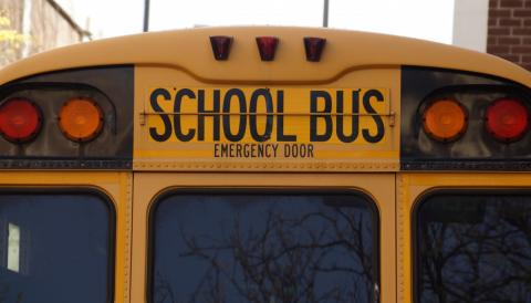 bus
